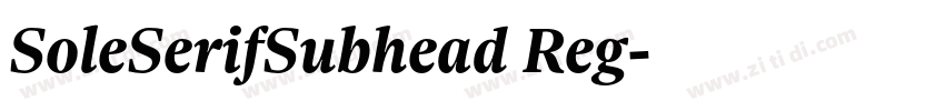 SoleSerifSubhead Reg字体转换